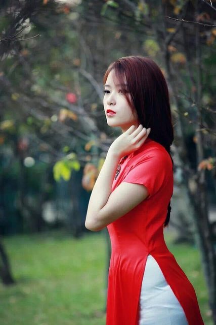 东北大坑后续第六部